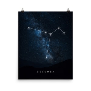 Columba Constellation / Cartel de constelaciones / Decoración de la casa de la constelación / Regalo de los amantes de las estrellas / Constelación de estrellas / Constelación zodiacal imagen 3