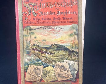 Gorgeously Illustrated German Children’s Book Dr. G. H.v. Schubert - “Natural History of Reptiles, Amphibians, Fish, Insects, Crustaceans..”