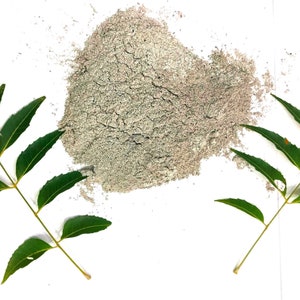 Natural Nutrient Very Fine Powder Promotes Root Development in Vegetable and Fruit Gardens (Pack of 200gm)