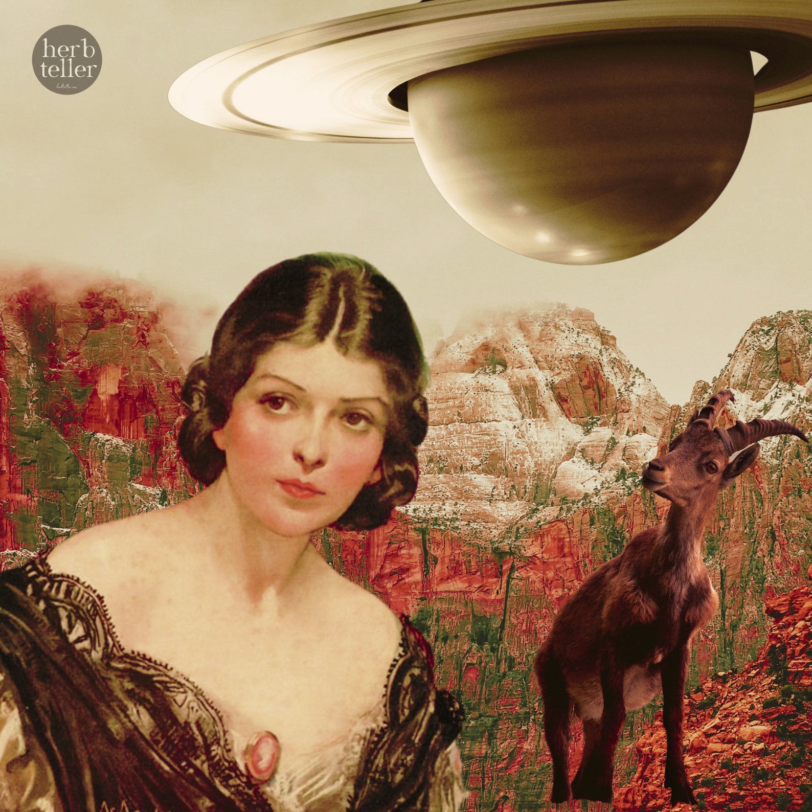 Capricorn Herbs Apothekit herb Kit/tea Kit Etsy