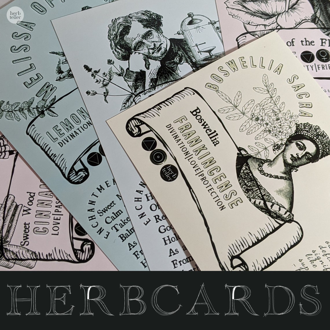 Capricorn Herbs Apothekit herb Kit/tea Kit Etsy