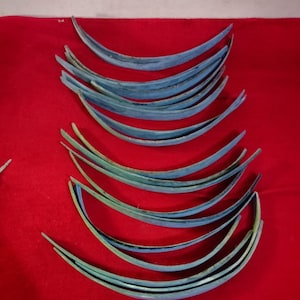 Horn bow and Water Buffalo horn long bow strips 50-70 cm horn for making bow, bamboo bow made of buffalo horn, water buffalo horn bow plate