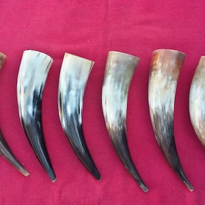 Viking drinking horn