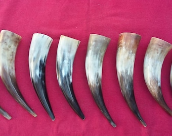 Viking drinking horn