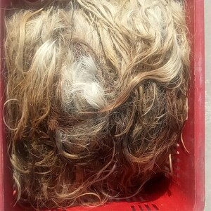Black Double Drawn Horse Mane Hair 702-BKMDxxx Black Double Drawn Horse Mane Hair 702-BKMDxxx