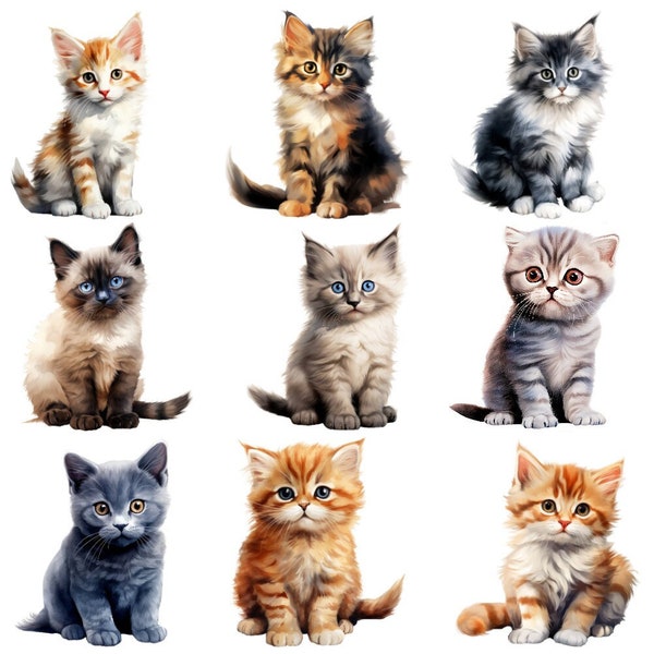 Bügelbild Bügelmotiv Katze Kitten Katzenbaby Junge Mädchen Baby verschiedene Größen