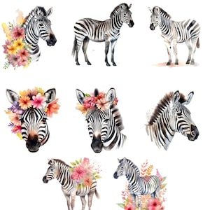 Könnte beinhalten: Ein Set aus acht Aquarell-Illustrationen mit Zebras und floralen Akzenten. Die Zebras sind in verschiedenen Posen dargestellt, einige mit Blumenkränzen, andere mit Blumenarrangements um sie herum. Die Illustrationen sind in einem weichen, romantischen Stil gehalten.