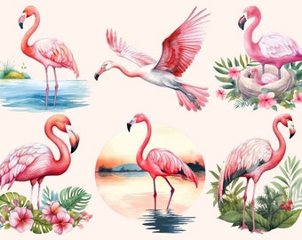 Bügelbild Bügelmotiv Flamingo Vogel Junge Mädchen verschiedene Größen