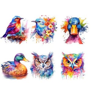 Könnte beinhalten: Ein Set mit sechs Aquarell-Illustrationen, die verschiedene Tiere zeigen, darunter einen Blauvogel, eine Ente und eine Eule. Die Illustrationen sind in leuchtenden Farben gemalt und haben einen verspielten, künstlerischen Stil.