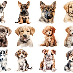 Könnte beinhalten: Eine Sammlung von zwölf entzückenden Welpen verschiedener Rassen, darunter eine Französische Bulldogge, ein Deutscher Schäferhund, ein Golden Retriever, ein Labrador Retriever, ein Pudel, ein Beagle, eine Bulldogge und ein Husky. Die Welpen sitzen oder stehen alle und schauen in die Kamera.