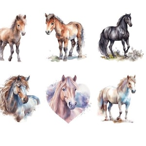 Könnte beinhalten: Aquarellillustrationen von Pferden in verschiedenen Posen und Farben. Die Sammlung umfasst ein hellbraunes Pony, ein kastanienfarbenes Pferd, ein schwarzes Pferd, ein blau-graues Pferd, ein Pferd in Herzform und ein weißes Pferd.
