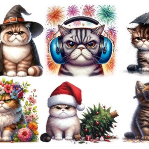 Könnte beinhalten: Eine Sammlung von sieben niedlichen Comic-Katzen mit verschiedenen Accessoires und Hintergründen. Die Katzen tragen einen Hexenhut, Kopfhörer, eine Weihnachtsmütze, eine Blumenkrone und eine Sonnenbrille. Die Hintergründe umfassen einen Kürbis, Feuerwerk, einen Weihnachtsbaum, Blumen und einen Regenschirm.