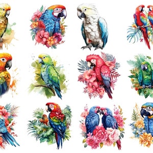 Könnte beinhalten: Eine Sammlung von 10 Aquarell-Illustrationen von bunten Papageien mit tropischen Blumen und Blättern. Die Papageien sind in verschiedenen Posen, einige sitzen auf Ästen, andere fliegen. Die Blumen sind in den Farben Rosa, Rot und Gelb.