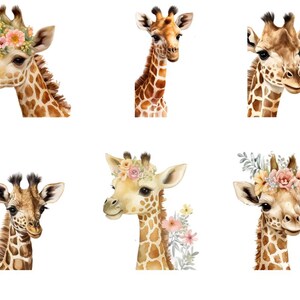 Bügelbild Bügelmotiv Giraffe Afrika Savanne Tier verschiedene Größen