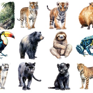 Bügelbild Bügelmotiv Dschungel Tiger Elefant Affe Junge Mädchen Baby verschiedene  Größen