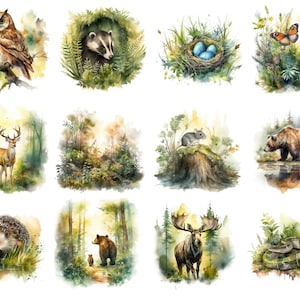 Könnte beinhalten: Aquarell-Illustrationen verschiedener Waldtiere, darunter eine Eule, ein Dachs, ein Reh, eine Maus, ein Bär, ein Elch, ein Igel und eine Schlange. Die Illustrationen sind vor dem Hintergrund von üppigem Grün und Bäumen angeordnet.