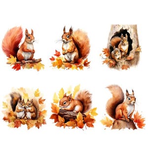 Könnte beinhalten: Aquarellillustrationen von Eichhörnchen in verschiedenen Posen. Einige sitzen auf Ästen oder inmitten von Herbstlaub. Die Kunstwerke verwenden warme Farben und zeigen die Tiere in herbstlicher Umgebung.