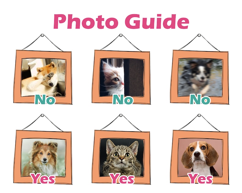 May include: Photo guide with six images in orange frames. The top row shows three images of pets that are not good examples for a photo, labeled "No". The bottom row shows three images of pets that are good examples for a photo, labeled "Yes".