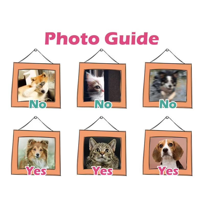 May include: Photo guide with six images of dogs and cats in frames. The images are labeled "Yes" or "No" to indicate whether the animal is looking at the camera.