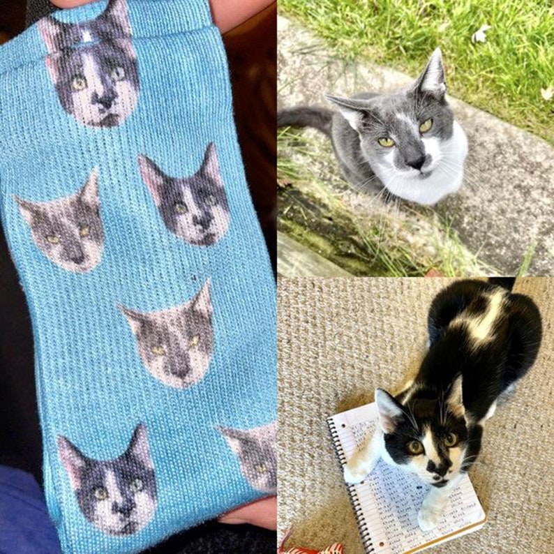 May include: A pair of blue socks with a repeating pattern of cat faces. The socks are made of a soft, comfortable material and are perfect for everyday wear.
