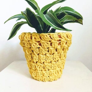 Peut inclure: Une plante en pot avec de longues feuilles vertes et des rayures blanches. Le pot est en crochet jaune. Le pot est posé sur une surface blanche. Le pot est un objet décoratif.