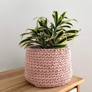 Peut inclure: Un pot de plante rose clair, crocheté, contenant une plante verte et jaune. Le pot est cylindrique avec une surface texturée. La plante a de longues feuilles pointues avec des rayures vertes et jaunes. Le pot est posé sur une surface en bois.