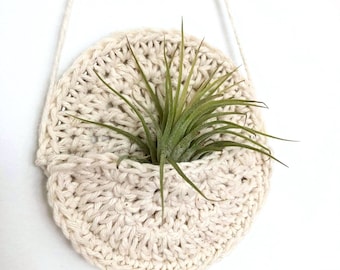 Air plant hanger, handmade with recycled cotton crochet