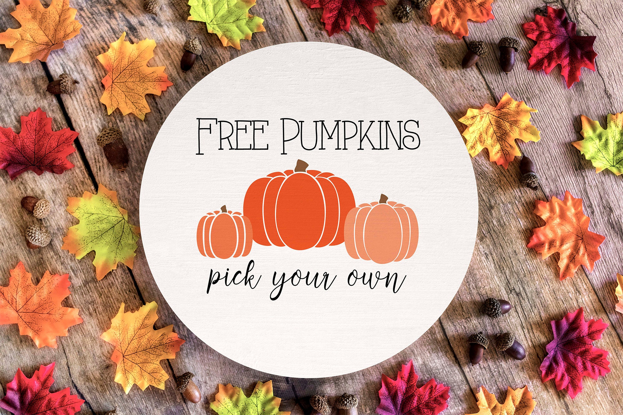 Pumpkin Patch SVG Pumpkin Patch Sign SVG Fall Farmhouse - Etsy
