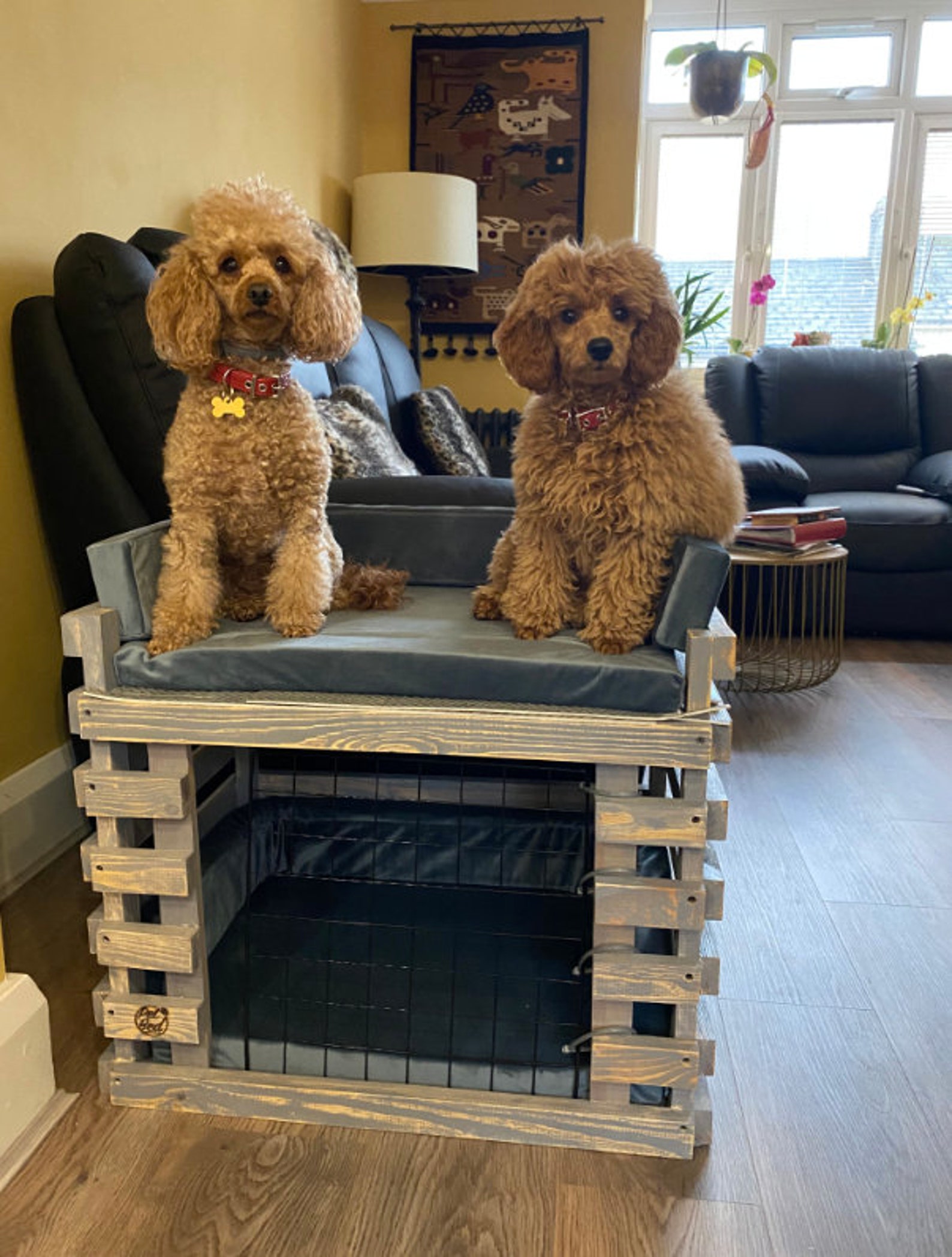 pool master pool vacuum