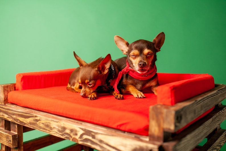 Doubledecker pet bed dog house dog house with wooden Etsy