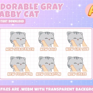 Animated Twitch Alerts Adorable Gray Tabby Cat