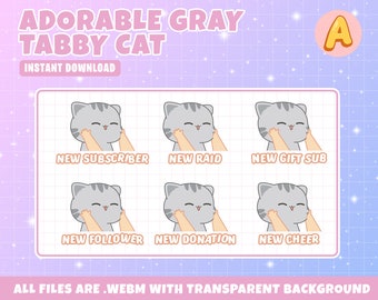 Animated Twitch Alerts Adorable Gray Tabby Cat