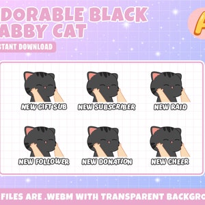 Animated Twitch Alerts Adorable Black Tabby Cat