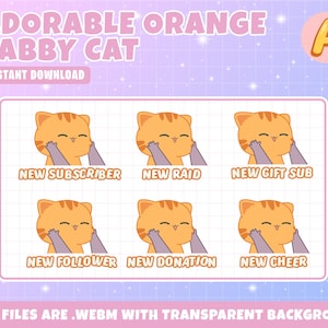 Animierte TwitchAlerts Niedliche, orange getigerte Katze