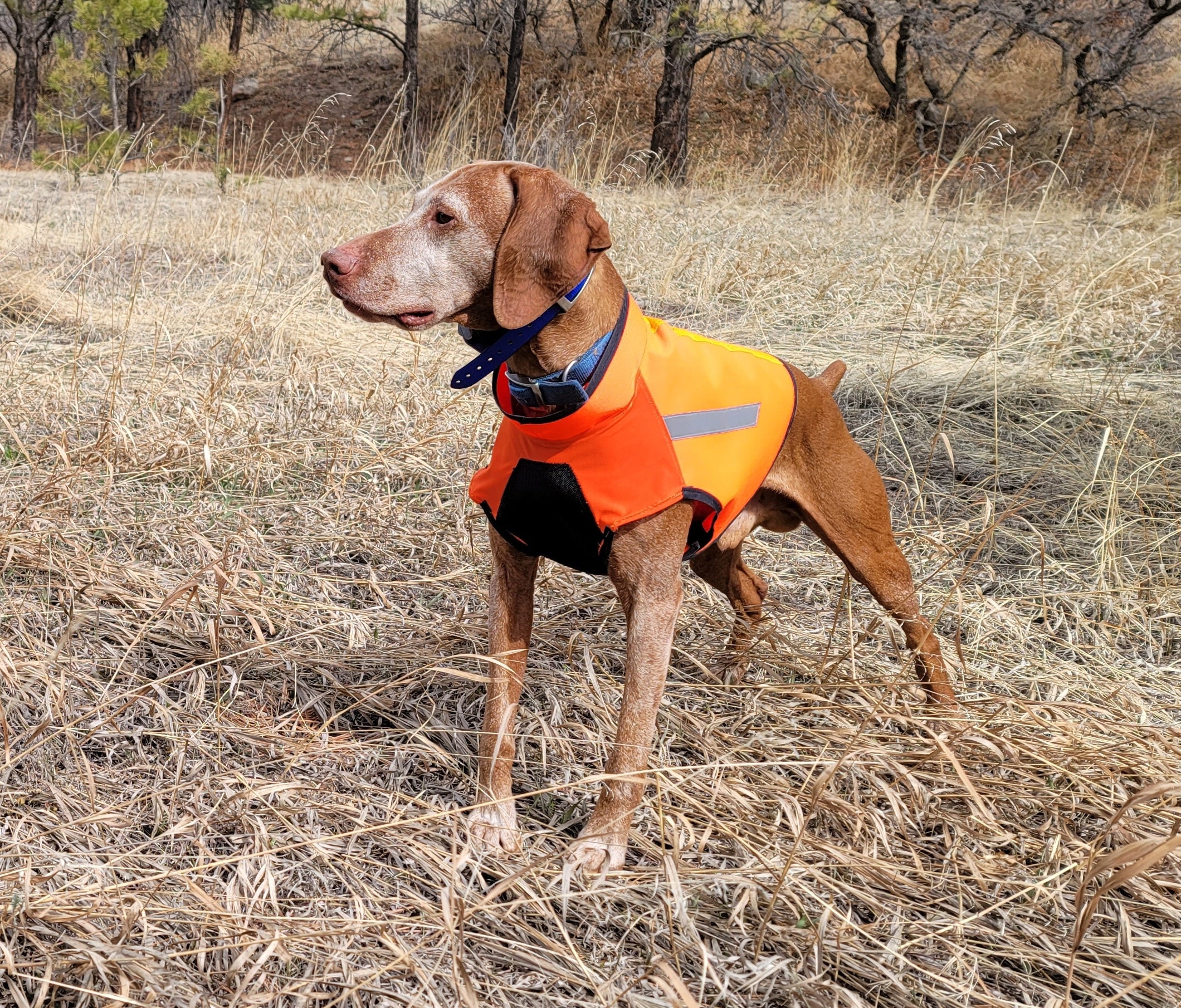 Vizsla Snuggle Jammies, Flannel Dog Pajamas, Indoor Warm Dog Coat