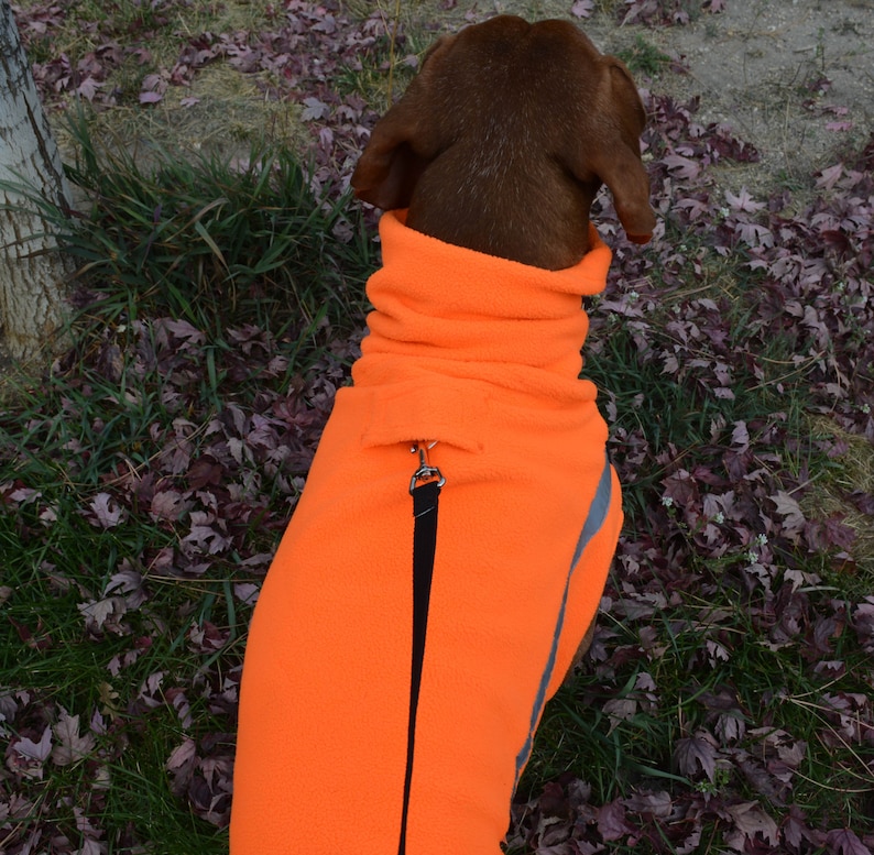Vinter Vizsla Vest Fleece Winter Dog Jacket Warm Dog Coat Etsy