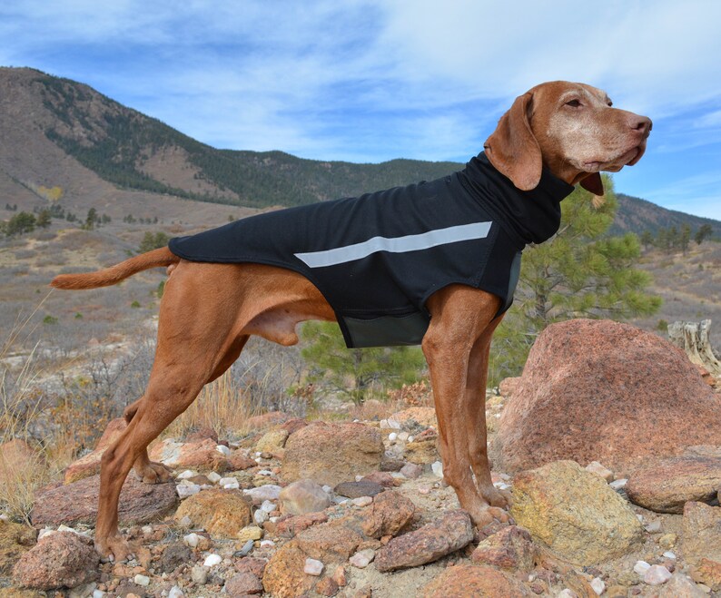 Vinter Vizsla Vest Polartec® Windbloc® Lite Winter Dog Etsy