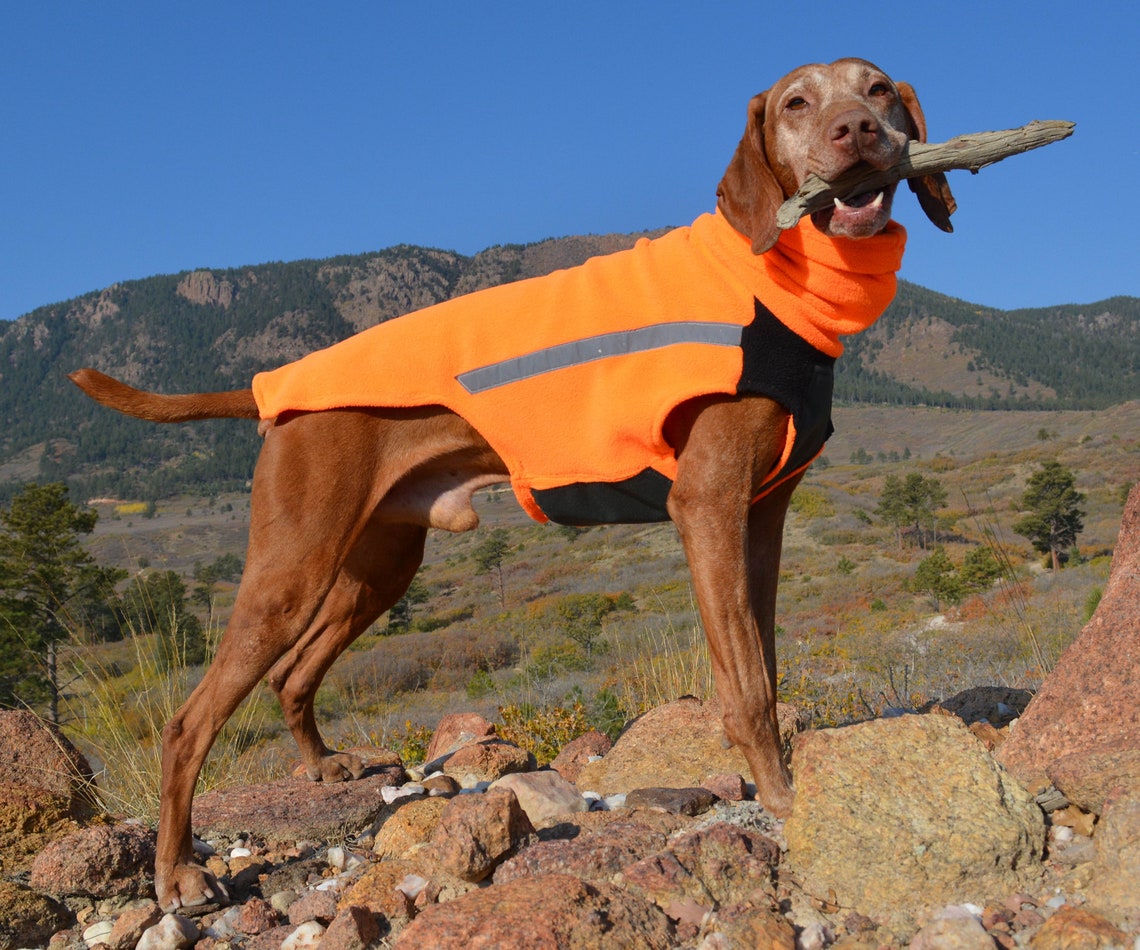 Vinter Vizsla Vest Fleece Winter Dog Jacket Warm Dog Coat Etsy