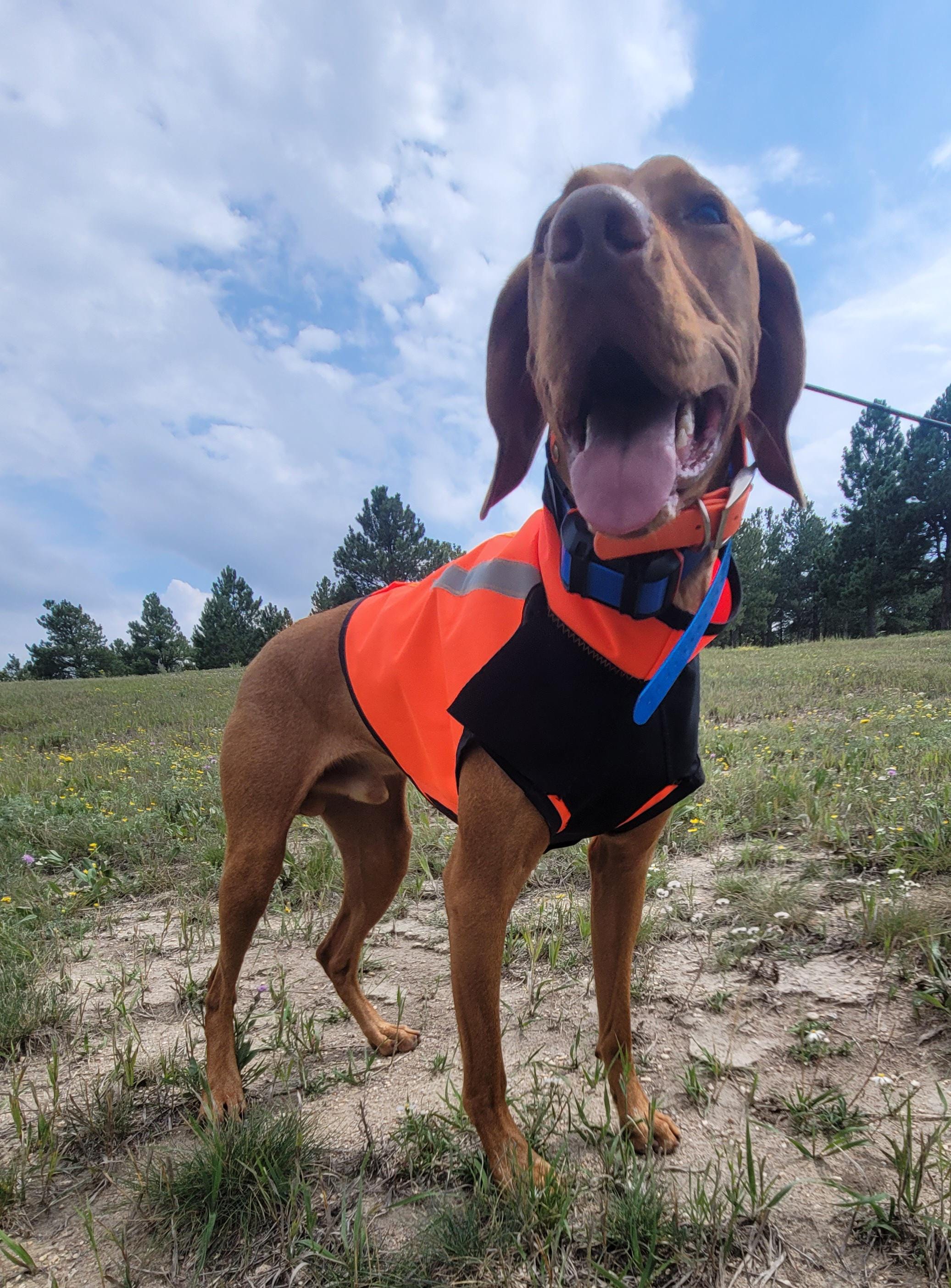 Vizsla GSP Field Vest, Dog Safety Vest for Visibility & Protection