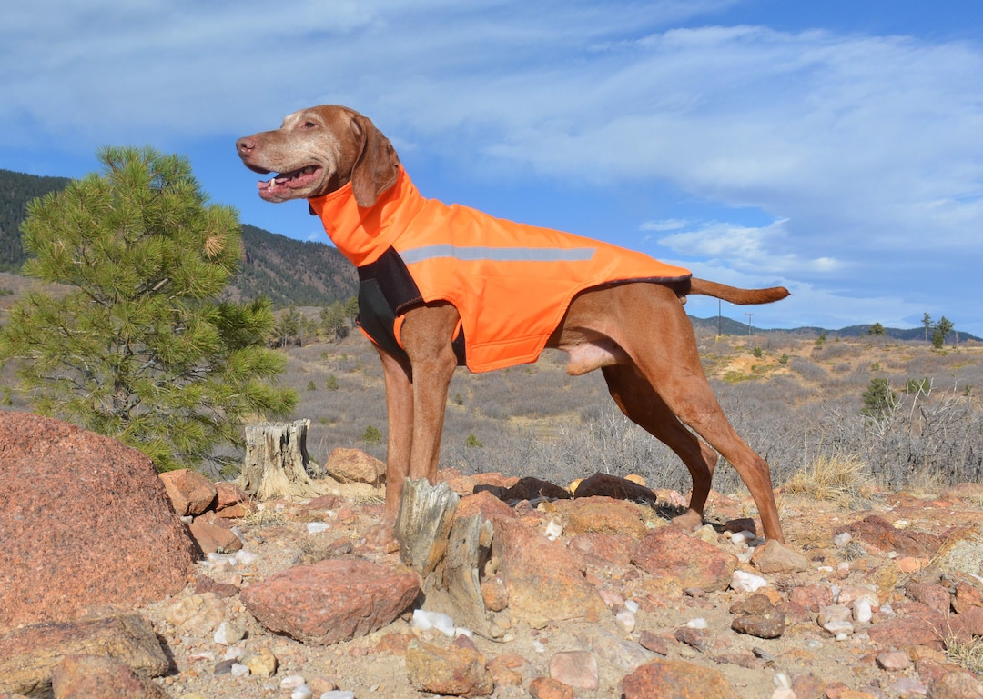 Vinter Vizsla Vest, Fleece Lined, Weatherproof Winter Jacket, Custom