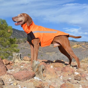Voyagers k9 cheap winter coat
