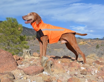 Vinter Vizsla Vest, Fleece Lined, Weatherproof Winter Jacket, Custom Dog Rain Coat, Chest Protection, Reflective, made in USA