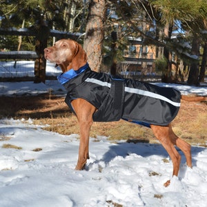 Casual Canine Coat, Winter Dog Jacket, Dog Raincoat, Fleece lined, Warm Weatherproof Dog Coat, Reflective, Custom, Made in USA image 3