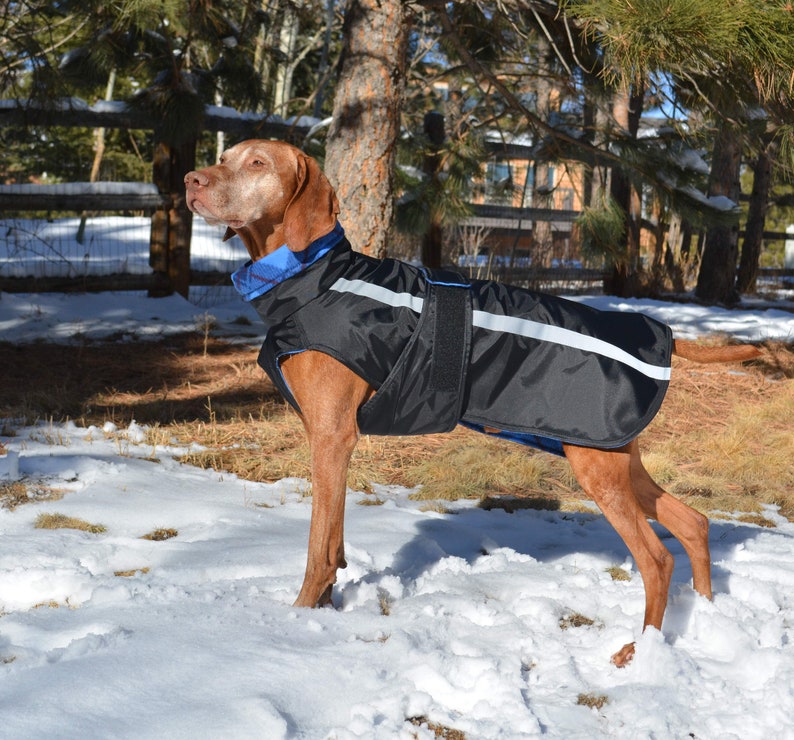 Casual Canine Coat, Winter Dog Jacket, Dog Raincoat, Fleece lined, Warm Weatherproof Dog Coat, Reflective, Custom, Made in USA image 3