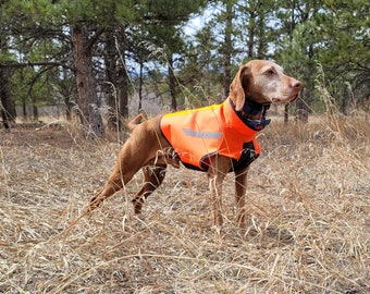 Vizsla GSP Field Vest, Dog Safety Vest for Visibility & Protection, Heavy Duty Chest Protector, Reflective, Made in USA