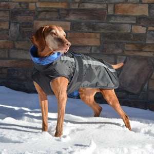 Casual Canine Coat, Winter Dog Jacket, Dog Raincoat, Fleece  lined, Warm Weatherproof Dog Coat, Reflective, Custom, Made in USA