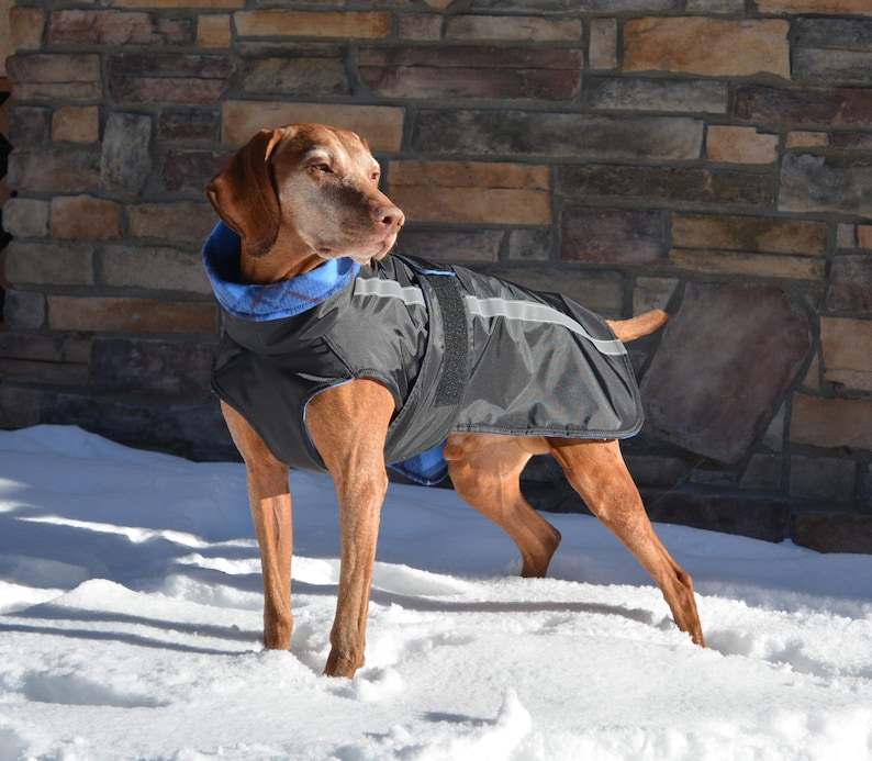 Casual Canine Coat, Winter Dog Jacket, Dog Raincoat, Fleece lined, Warm Weatherproof Dog Coat, Reflective, Custom, Made in USA image 1