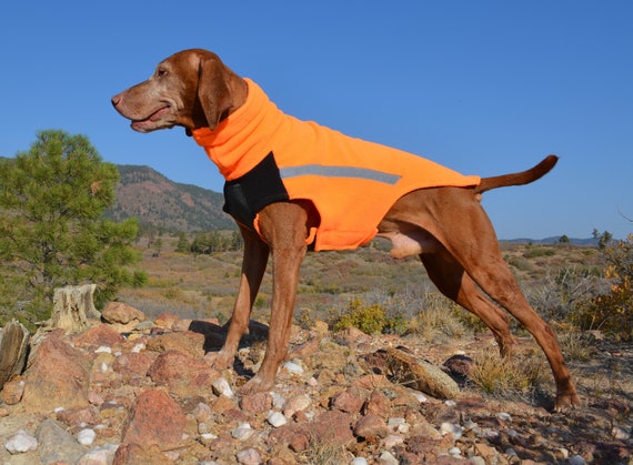 Dog store chest protector