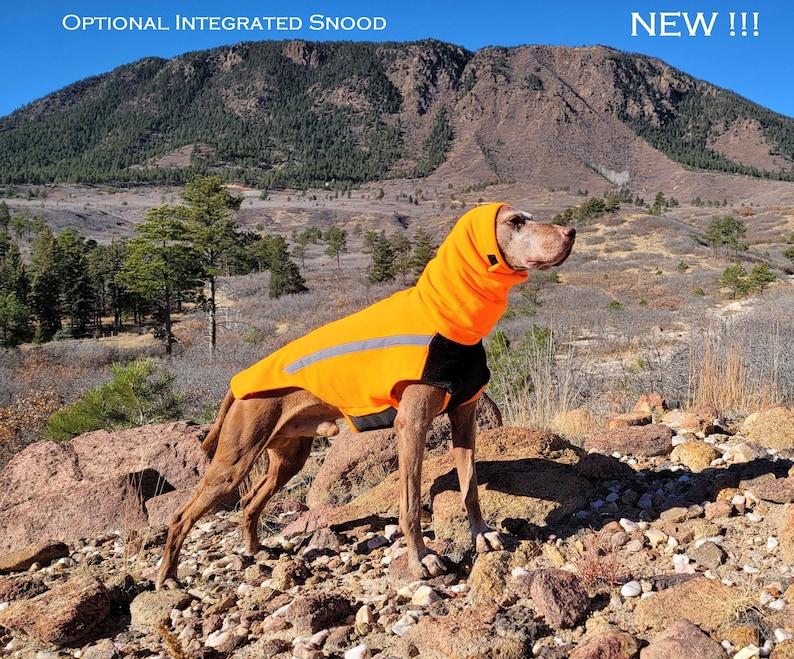 Vinter Vizsla Vest Fleece Winter Dog Jacket Warm Dog Coat Etsy