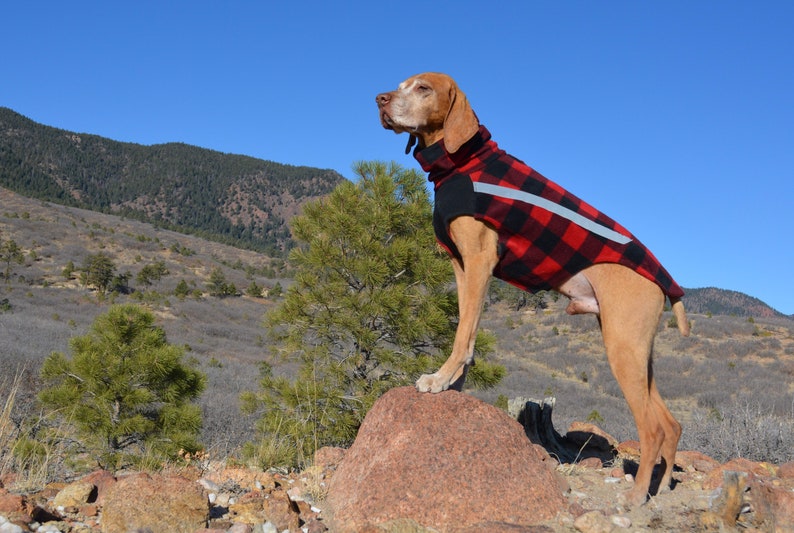 Vinter Vizsla Vest Fleece Winter Dog Jacket Warm Dog Coat Etsy